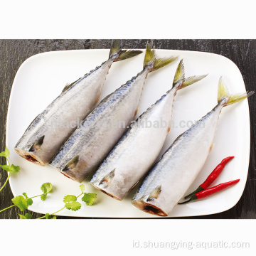 Merek terbaik beku ikan mackerel hgt untuk kalengan